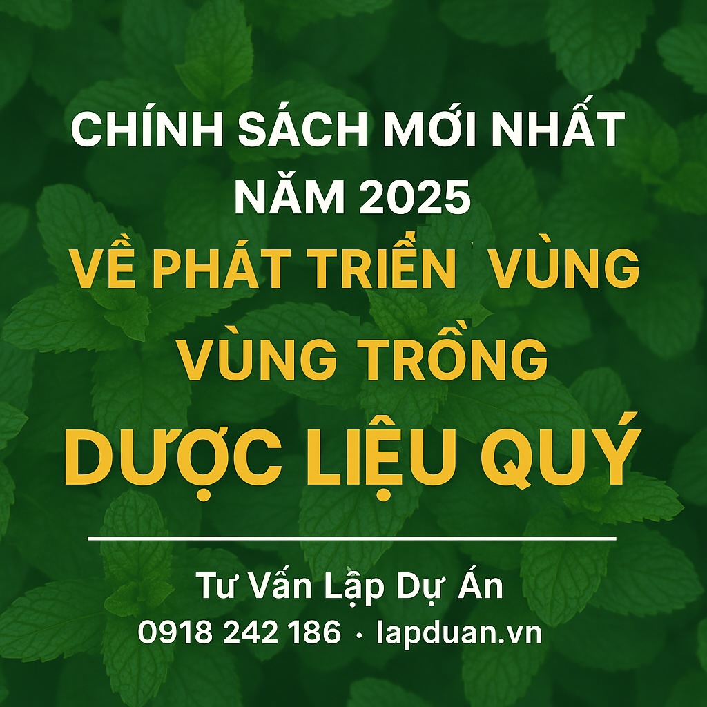 Những chính sách mới nhất năm 2025 về phát triển vùng trồng dược liệu quý