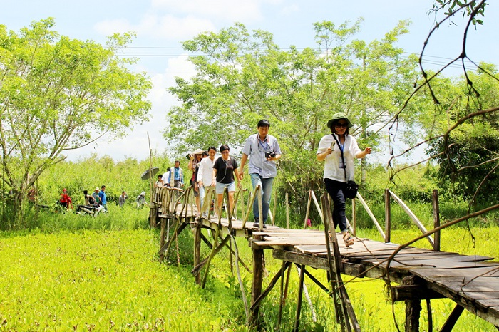 Nếu bạn đang có ý tưởng hoặc dự định xây dựng dự án về du lịch sinh thái dược liệu, dự án du lịch sinh thái, hay dự án trồng dược liệu, đừng ngần ngại liên hệ với chúng tôi để được tư vấn cụ thể và chi tiết nhất. 