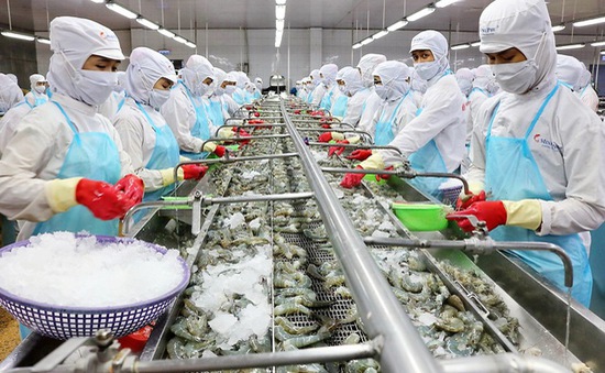 Lập dự án đầu tư/Thuyết minh dự án đầu tư nhà máy chế bến hải sản Việt